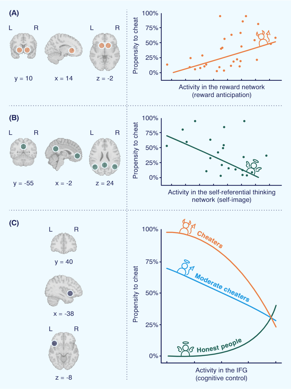 Brain regions and the relation between their activity and the propensity to cheat